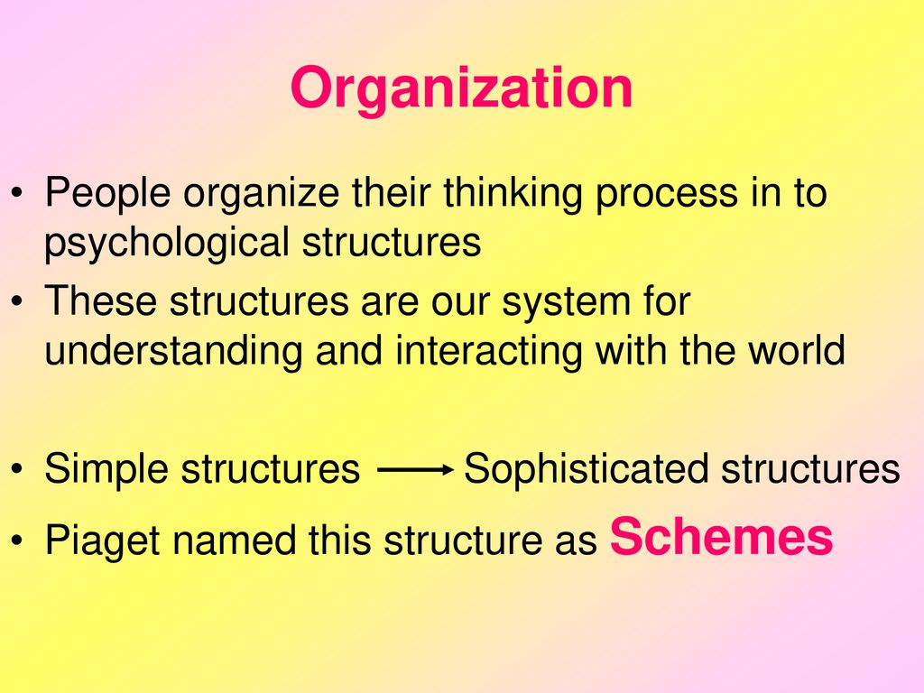 Piaget described a scheme as a psychological structure that hot sale